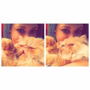 Meet your Posher, Shelby